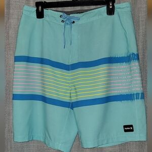 Hurley Men's Aqua and Blue Board Shorts